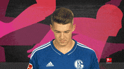Schalke S04 GIF by Bundesliga