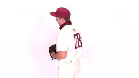 Baseball Roll Pards GIF by Lafayette Leopards
