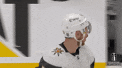 Stanley Cup Playoffs Celebration GIF by NHL