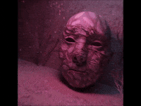 Blossoms GIF by Full Flex Audio