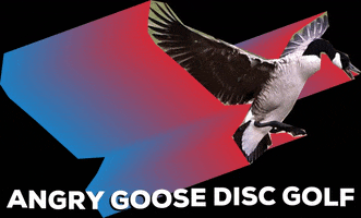 angrydiscs disc golf discgolf angry goose angrydiscs GIF