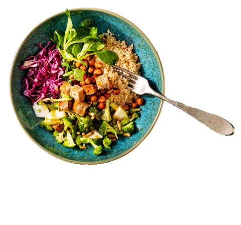 Oswald-Nahrungsmittel giphyupload food bowl veggie Sticker