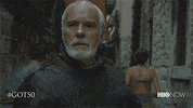 Hbo GIF by Game of Thrones
