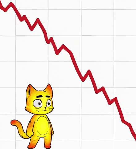 HeroGalaxyNFT cat cats loser hg GIF