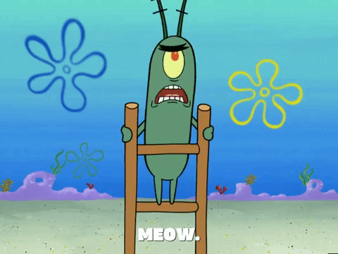 season 5 episode 20 GIF by SpongeBob SquarePants