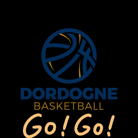 Dordogne_Basketball giphygifmaker giphyattribution go basket GIF