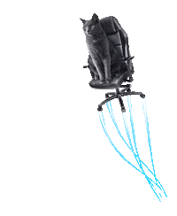 onmobia cat gaming space laser Sticker