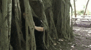 palm beach tiger GIF by Brimstone (The Grindhouse Radio, Hound Comics)