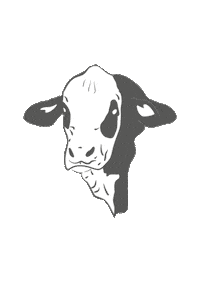 Braford Sticker by ABA