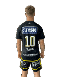 Bsh Svane Sticker by Bjerringbro-Silkeborg Håndbold