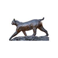 Bobcats Sticker by Bates College Alumni