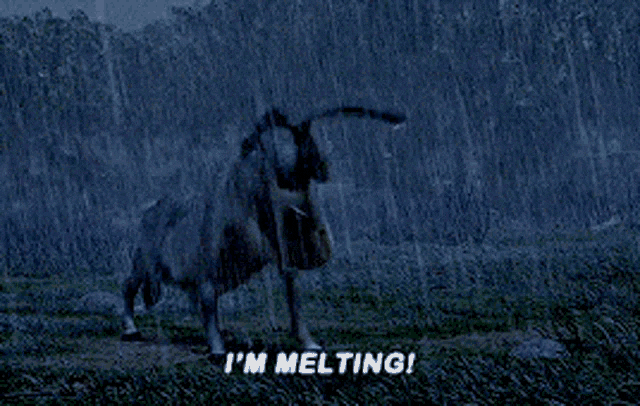 lavaldi giphyupload shrek melt donkey GIF