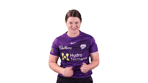 CricketTas giphyupload cricket hurricanes wbbl Sticker