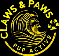 Dog GIF by pupactive