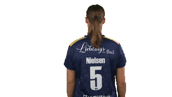 handballbundesligafrauen handball hbf nielsen handball bundesliga frauen Sticker
