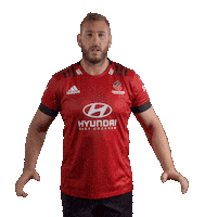 Footy Swipe Up Sticker by CrusadersRugbyTeam