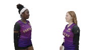 Volleyball Gopanthers Sticker by University of Brighton
