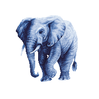 Wild Animal Elephant Sticker by Tchibo