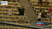 GIF by Richmond Flying Squirrels