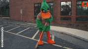 Baseball Texas GIF by Down East Wood Ducks