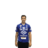 Goal Handball Sticker by EHV Aue