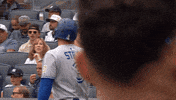 High Five Blue Jays GIF by Toronto Blue Jays