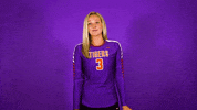 Clemsonvb GIF by Clemson Tigers