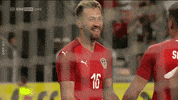 national team austria GIF