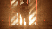Oklahoma Sooners Softball GIF by NCAA Championships