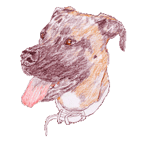 Good Boy Dog Sticker by James Thacher