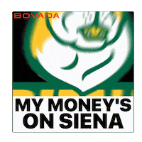 Siena College Saints Sticker by Bovada