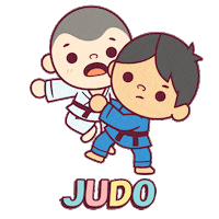 Martial Art Japan Sticker by Embajada del Japón en Argentina