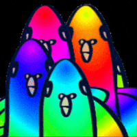 Pigeon 虹 GIF