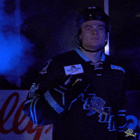 Fun Hockey GIF by Quad City Storm