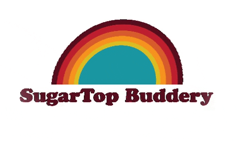 SugarTopBuddery giphygifmaker happy rainbow colors GIF