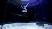 mel b love GIF by America's Got Talent