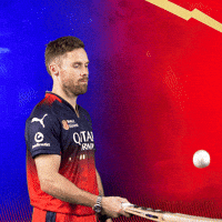 Happy Phil Salt GIF by Royal Challengers Bengaluru