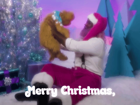 Merry Christmas, You Filthy Animal!