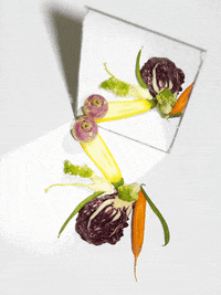 GIF by Liberation.fr