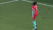 Lets Go Sport GIF by National Women's Soccer League