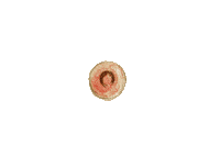 happy growing up Sticker by Pilar Garcia-Fernandezsesma