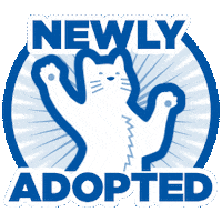 Cat Dog Sticker by Hill's Pet Nutrition