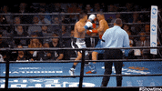 the return punch GIF by SHOWTIME Sports