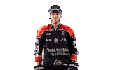 Celebration Goal Sticker by Les Ducs d'Angers