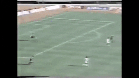 rafaelsouto giphyupload GIF