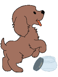 Unverpackt Leckerli Sticker by hodum_gmbh