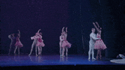 Nutcracker GIF by English National Ballet