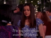 season 2 netflix GIF by Gilmore Girls 