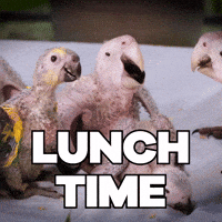 Hungry Feed Me GIF by Sealed With A GIF