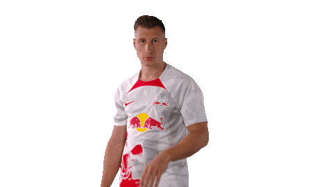 Willi Orban Football Sticker by RB Leipzig